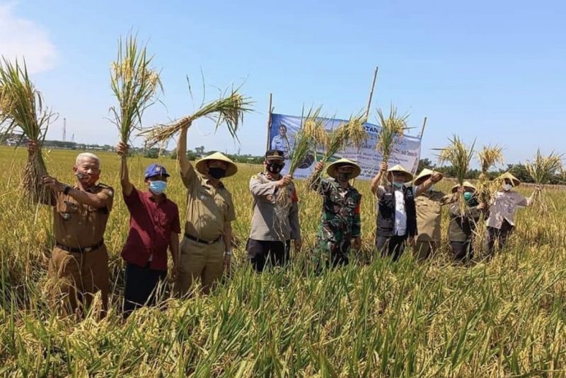Kunjungan Tim Kementan RI ke Kelompok Tani Desa Kedokanbunder Wetan, Indramayu.