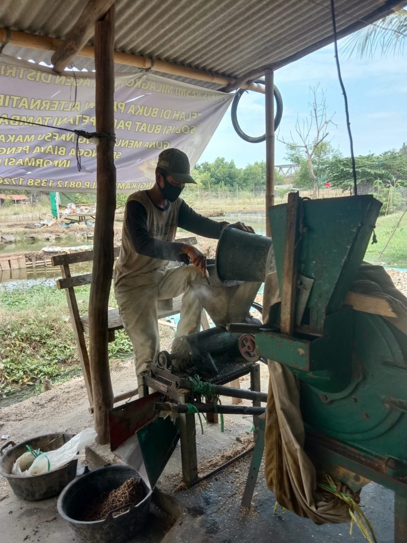 Tasa sedang melakukan proses penggilingan