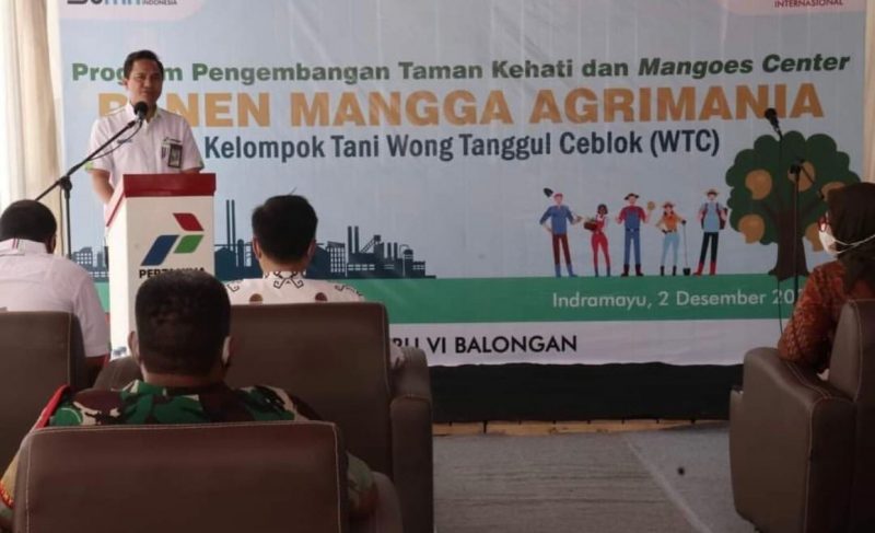 GM PT. KPI Unit Balongan Indramayu, Diandoro Arifin saat memberikan keterangan di acara Panen Perdana Buah Mangga Agrimania di komplek Bumi Patra, Singajaya, Indramayu, Kamis, 2 Desember 2021. 