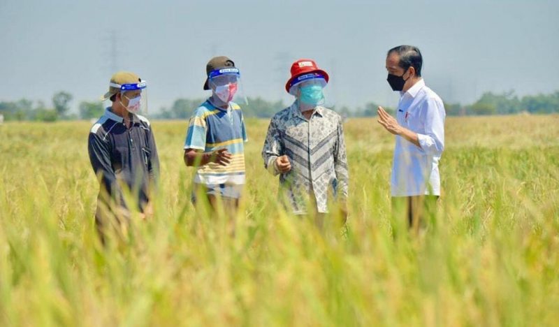 Presiden Jokowi bertemu dengan petani di Kab. Indramayu. (foto: jokowi).